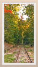 Load image into Gallery viewer, 0566 Abandoned Tracks