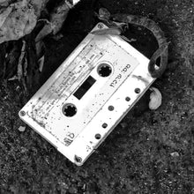 Load image into Gallery viewer, 0553 Old Fossil