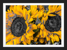 Load image into Gallery viewer, 0596 Sunflowers