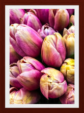 Load image into Gallery viewer, 0466 Pink Tulips