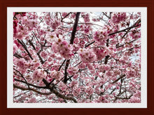 Load image into Gallery viewer, 0627 Beautiful Cherry Blossom