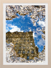 Load image into Gallery viewer, 0607 Reflections of Herald