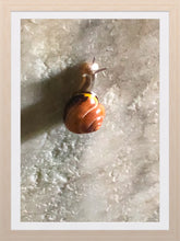 Load image into Gallery viewer, 0347 Snail On The Wall