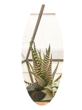 Load image into Gallery viewer, 0457 Succulent Haven