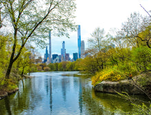 Load image into Gallery viewer, 0577 Central Park South