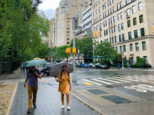 Load image into Gallery viewer, 0411 Stroll Along 5th
