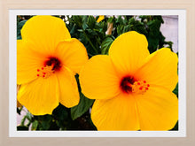 Load image into Gallery viewer, 0379 Twin Yellow Blossoms