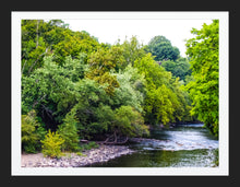 Load image into Gallery viewer, 0544 Quiet Stream