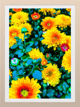 Load image into Gallery viewer, 0162 Bright Blossoms