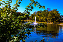 Load image into Gallery viewer, 0560 Reflections Of Fall