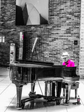 Load image into Gallery viewer, 0328 Piano Player