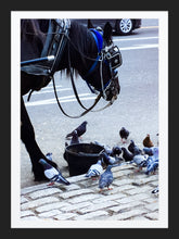 Load image into Gallery viewer, 0378 Lunchtime