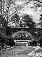 Load image into Gallery viewer, 0212 Schurz' Archway