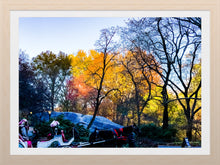 Load image into Gallery viewer, 0460 Your Carriage Awaits