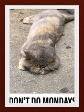 Load image into Gallery viewer, 0343 Monday, Monday