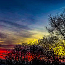 Load image into Gallery viewer, 0572 The Burning Bush