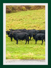 Load image into Gallery viewer, 0441 Cattle