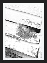 Load image into Gallery viewer, 0582 Groundhog Day