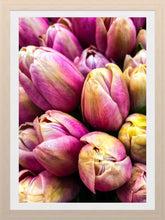Load image into Gallery viewer, 0466 Pink Tulips