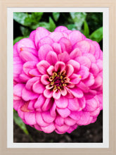 Load image into Gallery viewer, 0555 Pretty In Pink