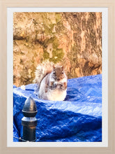 Load image into Gallery viewer, 0474 Can I Help You?