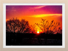 Load image into Gallery viewer, 0080 Early Spring Sunrise