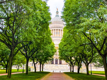 Load image into Gallery viewer, 0602 Walk To The Capitol
