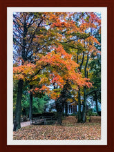 Load image into Gallery viewer, 0563 Autumn Retreat