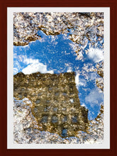 Load image into Gallery viewer, 0607 Reflections of Herald