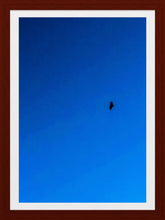 Load image into Gallery viewer, 0458 Soaring Raptor