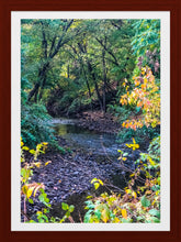 Load image into Gallery viewer, 0562 Peaceful Nature