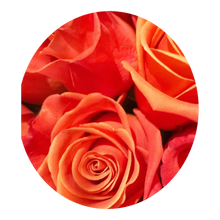 Load image into Gallery viewer, 0475 Orange Roses