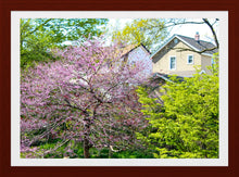 Load image into Gallery viewer, 0498 One Lavender Tree