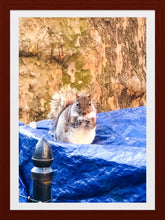 Load image into Gallery viewer, 0474 Can I Help You?