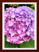 Load image into Gallery viewer, 0535 Pink Hydrangea
