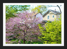 Load image into Gallery viewer, 0498 One Lavender Tree