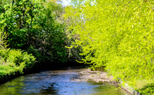 Load image into Gallery viewer, 0496 Down The Creek