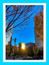 Load image into Gallery viewer, 0452 Urban Park