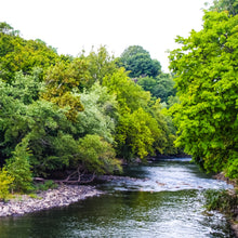 Load image into Gallery viewer, 0544 Quiet Stream