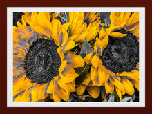 Load image into Gallery viewer, 0596 Sunflowers