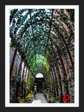 Load image into Gallery viewer, 0376 Green Walkway