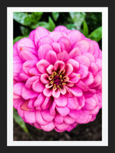 Load image into Gallery viewer, 0555 Pretty In Pink