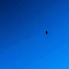 Load image into Gallery viewer, 0458 Soaring Raptor