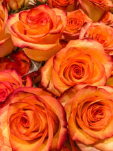 Load image into Gallery viewer, 0182 Orange Roses
