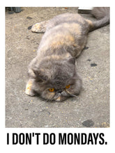 Load image into Gallery viewer, 0343 Monday, Monday