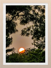 Load image into Gallery viewer, 0545 There Goes The Sun