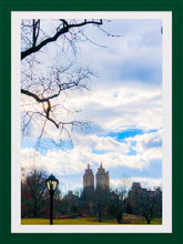 Load image into Gallery viewer, 0227 East Central Park