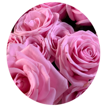 Load image into Gallery viewer, 0453 Stunning Pink Roses