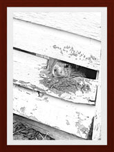 Load image into Gallery viewer, 0582 Groundhog Day