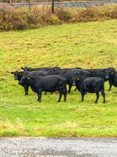 Load image into Gallery viewer, 0441 Cattle